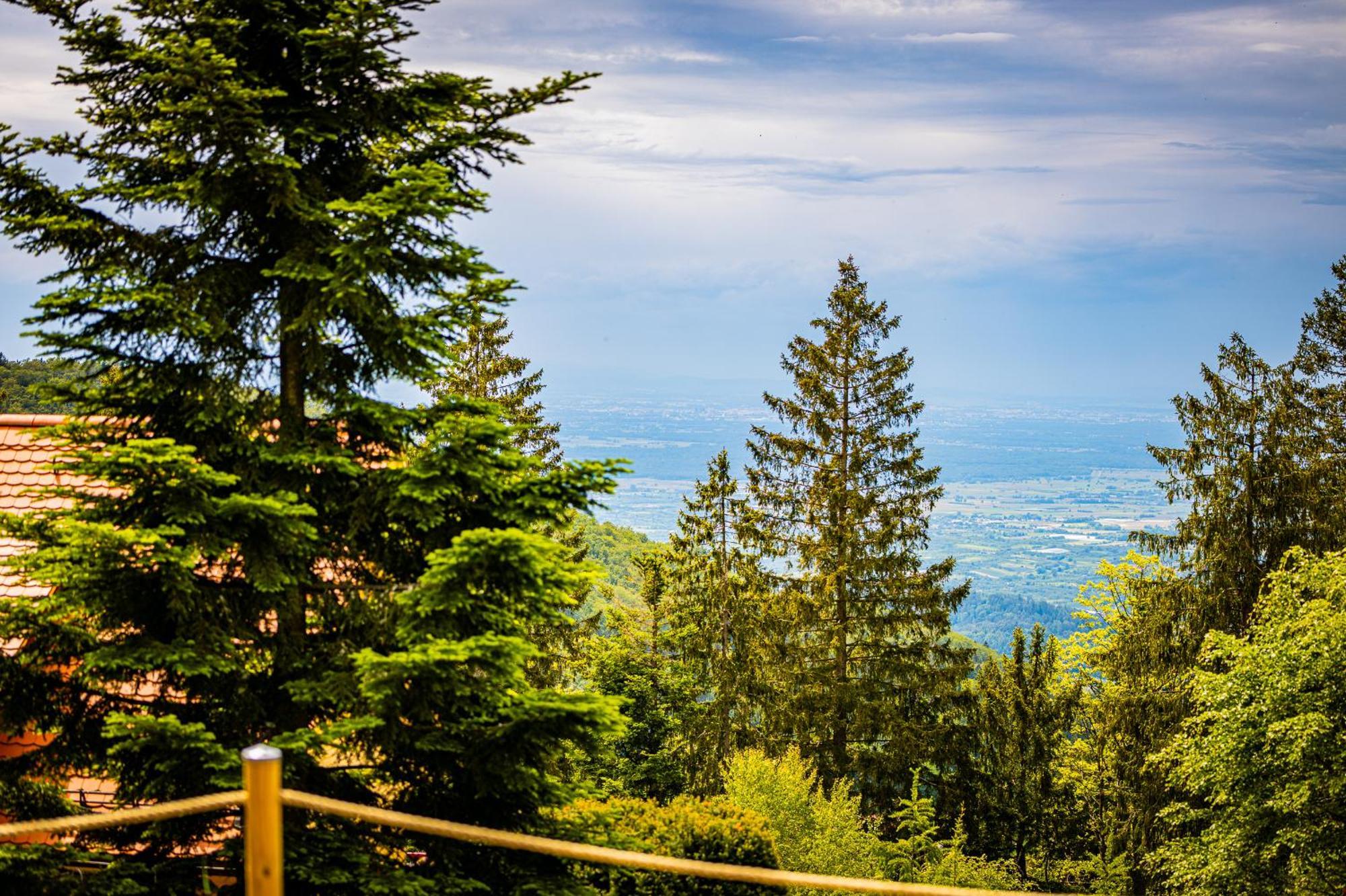 Holiday home Sonnenhaeusle - Natur. Fernblick. Panorama-sauna. Sasbachwalden