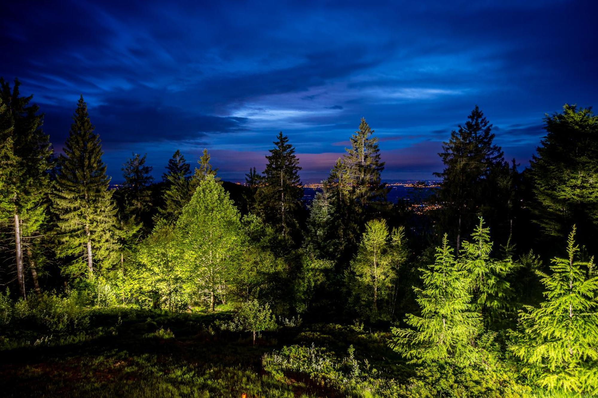 Sonnenhaeusle - Natur. Fernblick. Panorama-sauna. Sasbachwalden