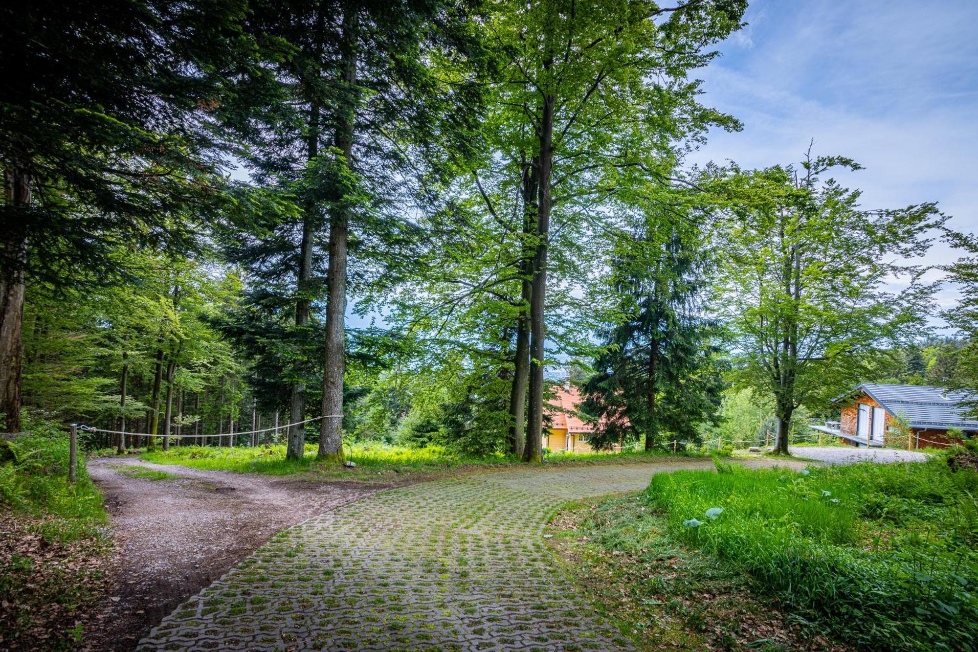Sonnenhaeusle - Natur. Fernblick. Panorama-sauna. Holiday home